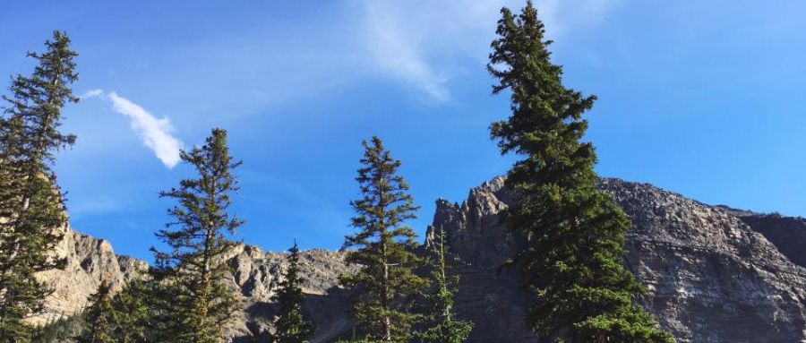 得物App智能巡检技术的探索与实践