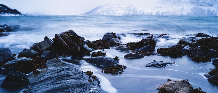 从0到1搭建一个智能分析OBS埋点数据的AI Agent｜得物技术